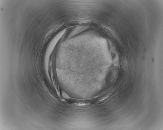 X0000085800740200704131920