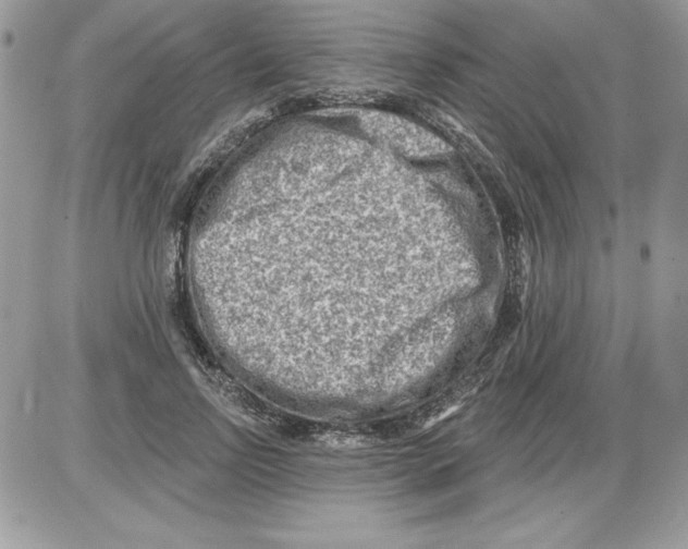 X0000085800742200704131920