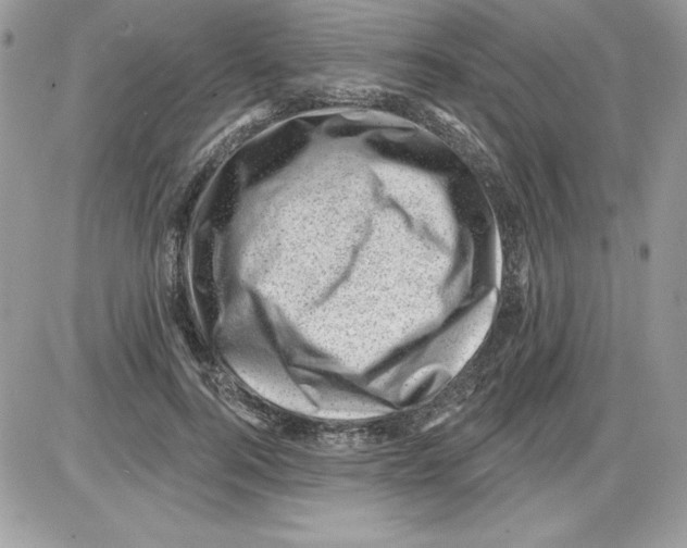 X0000085800744200704131920