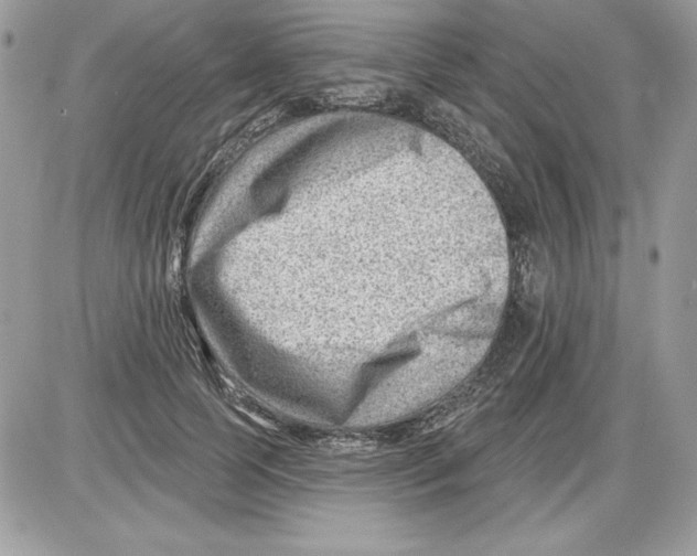 X0000085800745200704131920