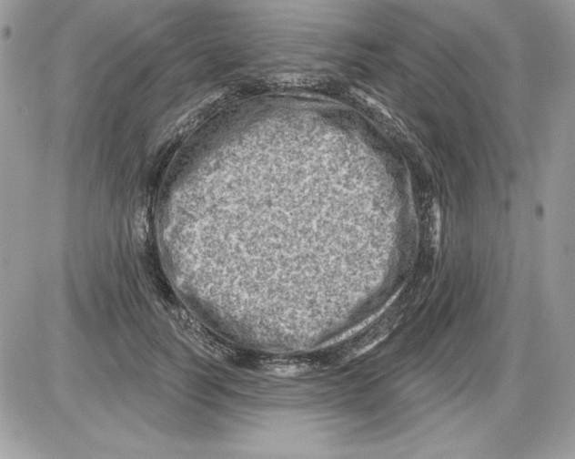 X0000085800746200704131920