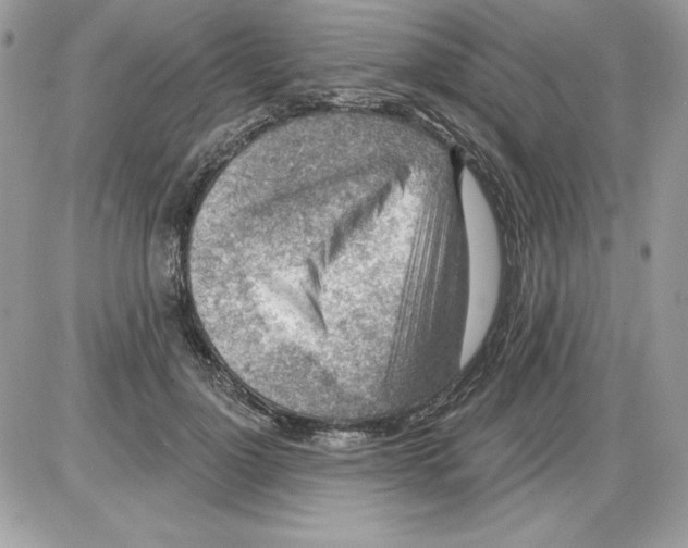 X0000085800748200704131920