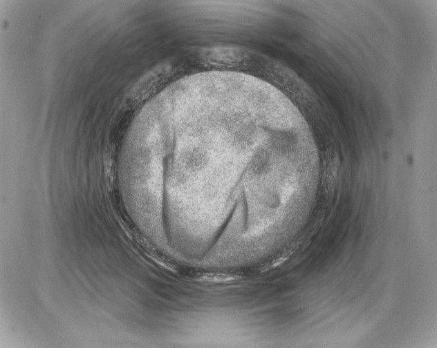 X0000085800749200704131920