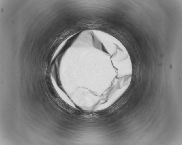 X0000085800752200704131920