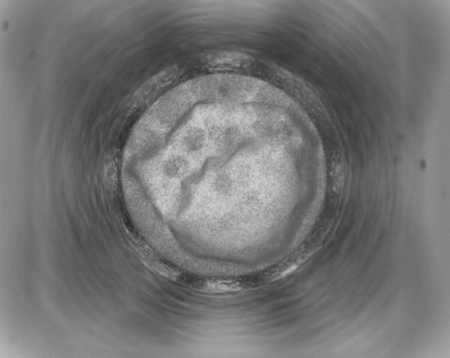 X0000085800753200704131920