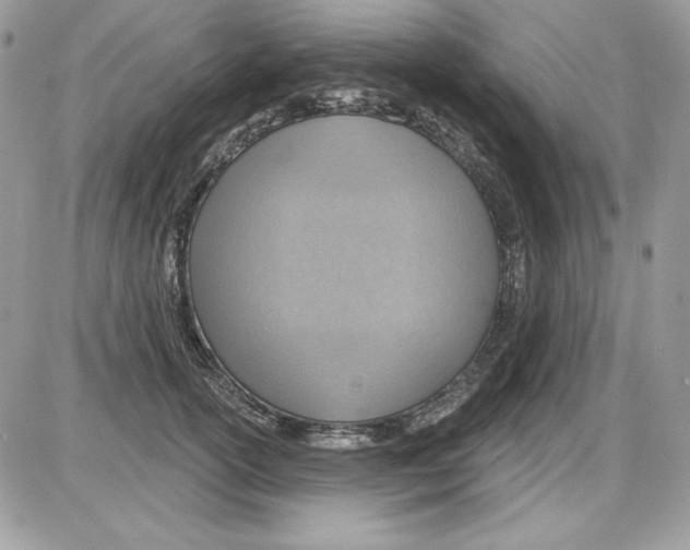 X0000085800754200704131920