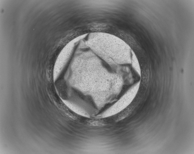 X0000085800755200704131920