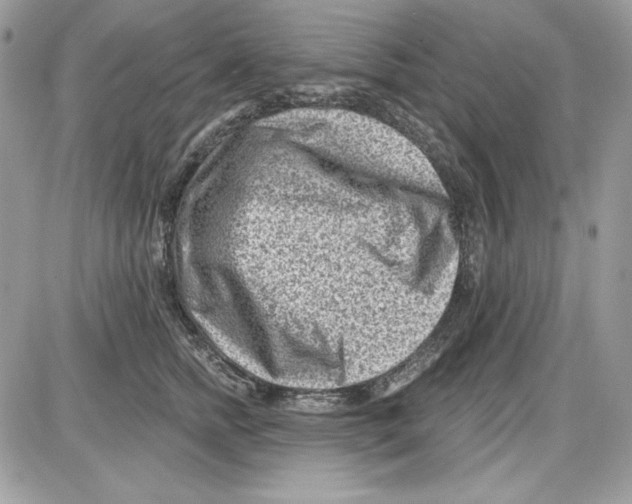 X0000085800758200704131921