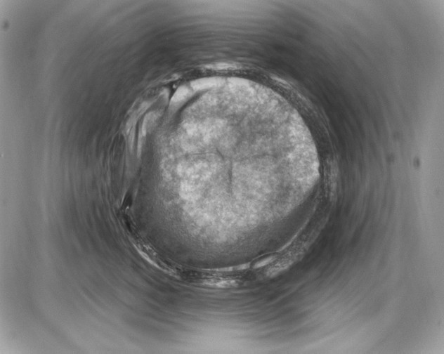 X0000085800760200704131921