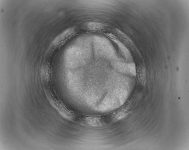 X0000085800762200704131921