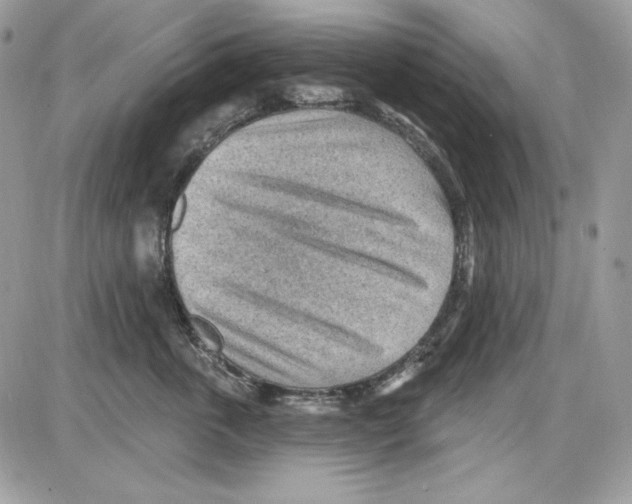 X0000085800763200704131921