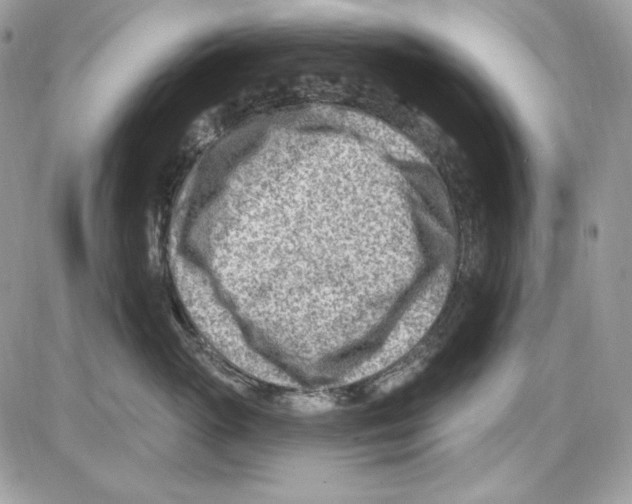 X0000085800765200704131921