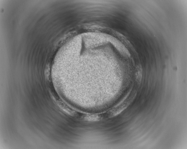 X0000085800767200704131921