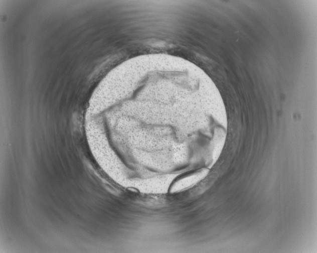 X0000085800768200704131921