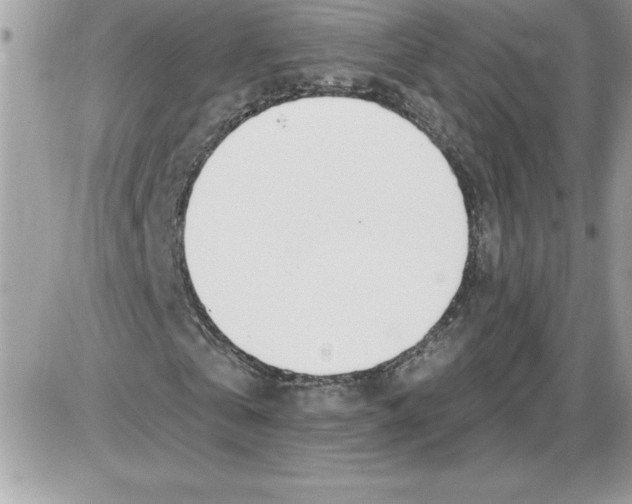 X0000085800769200704131920