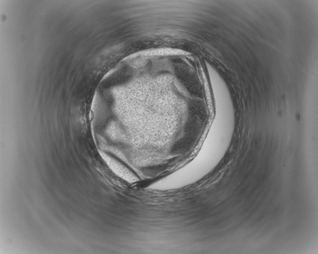 X0000085800771200704131920