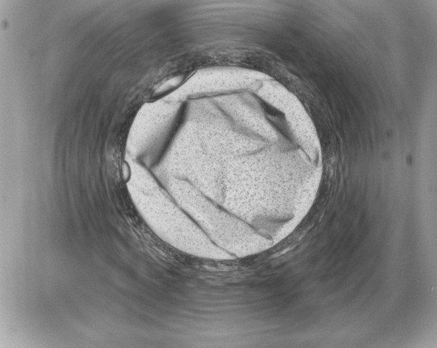 X0000085800772200704131920