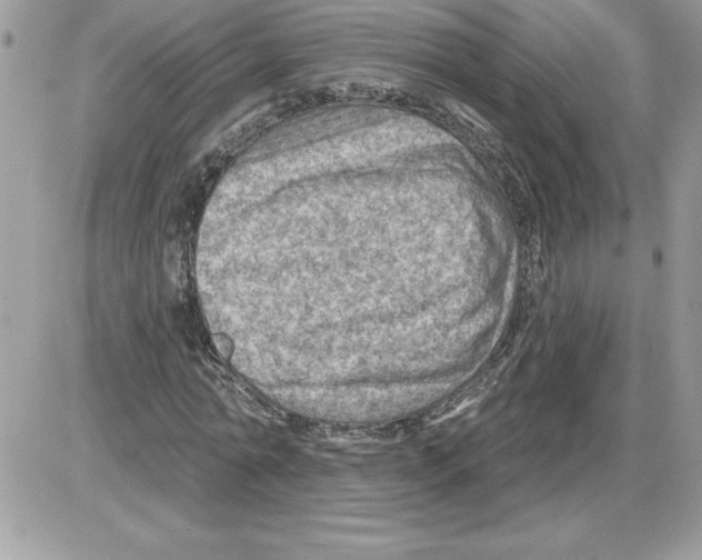 X0000085800774200704131920