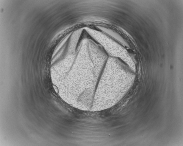 X0000085800775200704131920