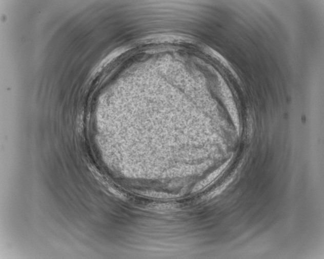 X0000085800778200704131920