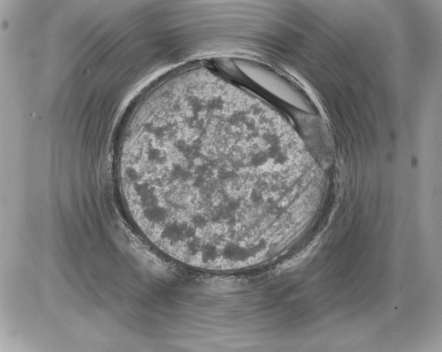 X0000085800779200704131920