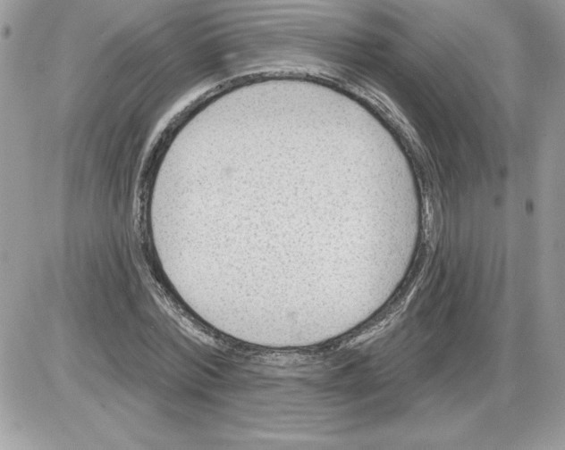 X0000085800780200704131920