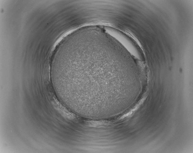 X0000085800781200704131920