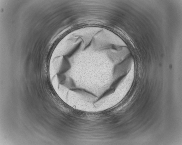 X0000085800782200704131920