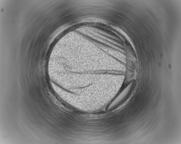 X0000085800783200704131920