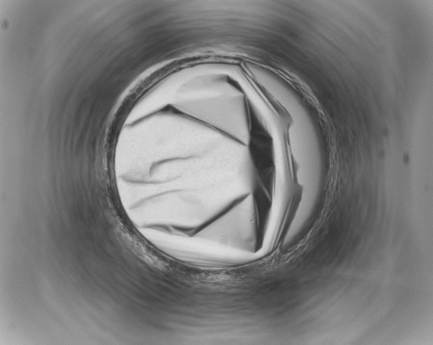 X0000085800784200704131920