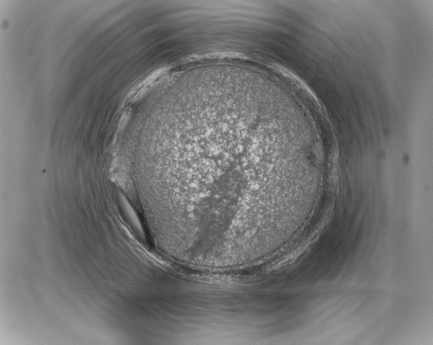 X0000085800785200704131920