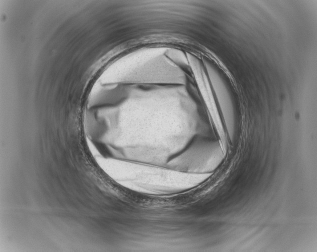 X0000085800786200704131920