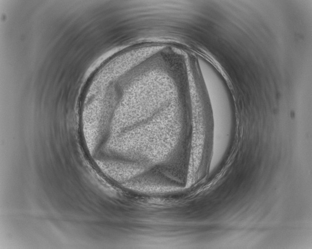 X0000085800787200704131920