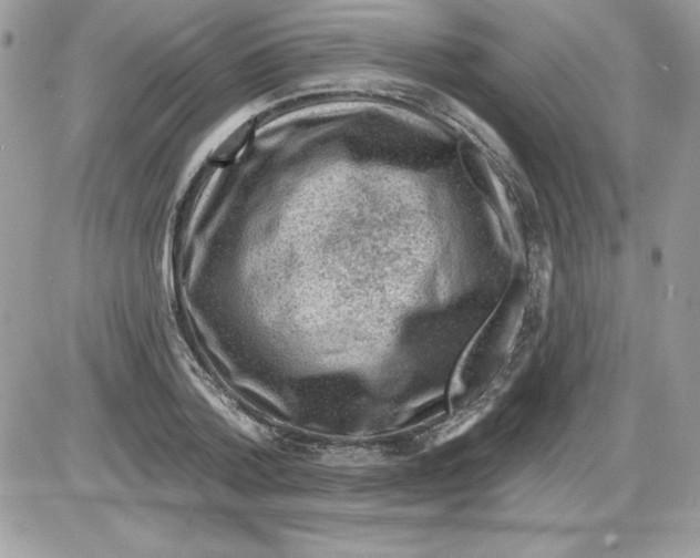 X0000085800788200704131920