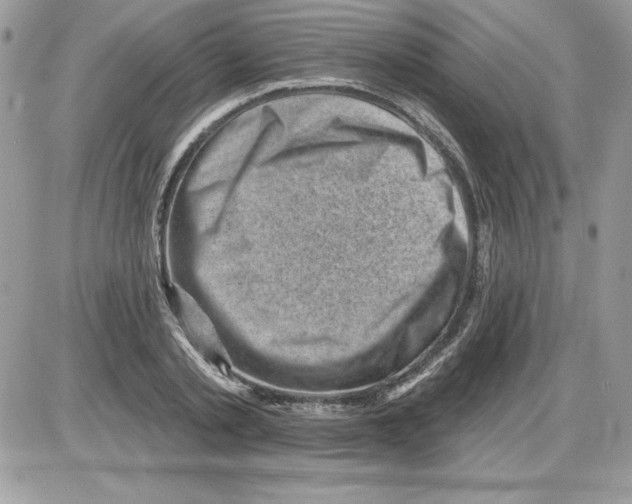 X0000085800789200704131920