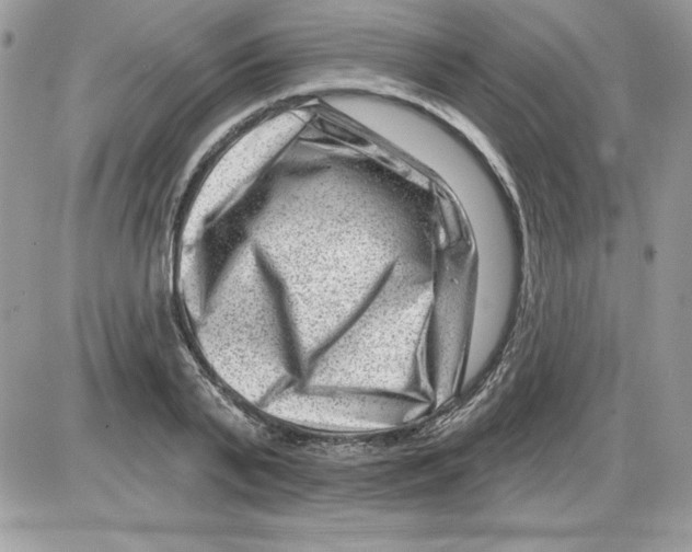 X0000085800791200704131920