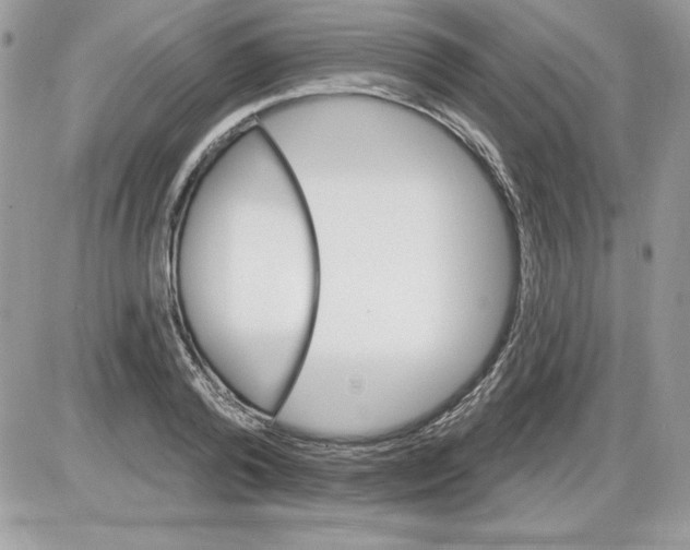 X0000085800792200704131920