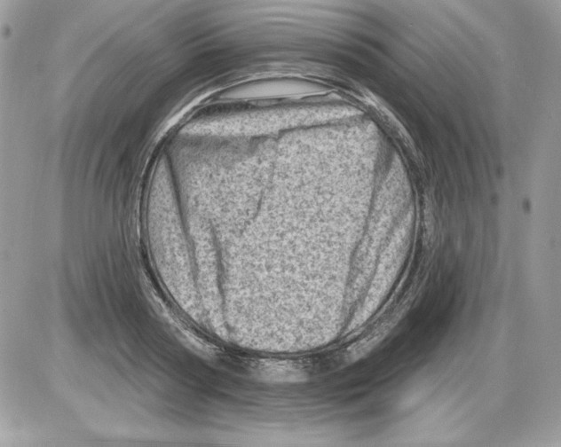 X0000085800794200704131919