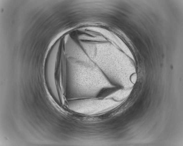 X0000085800795200704131919