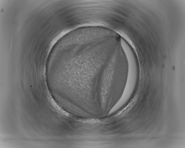 X0000085800797200704131919