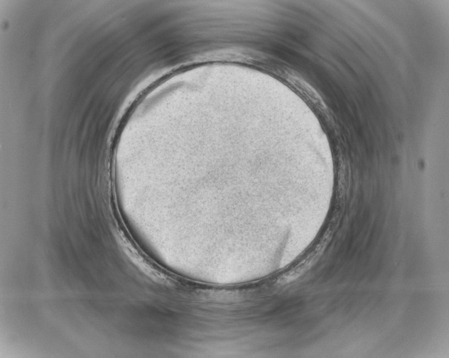 X0000085800800200704131919