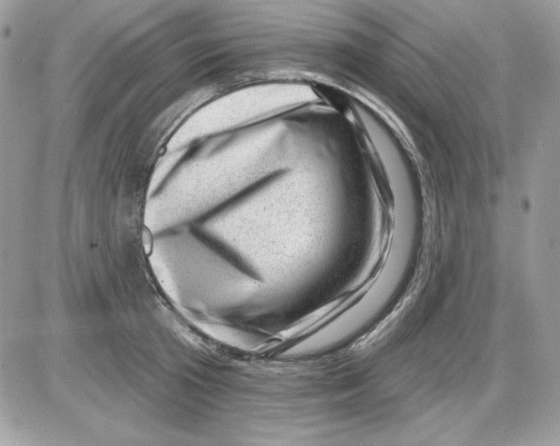 X0000085800801200704131919