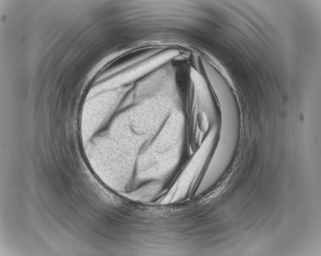 X0000085800803200704131919