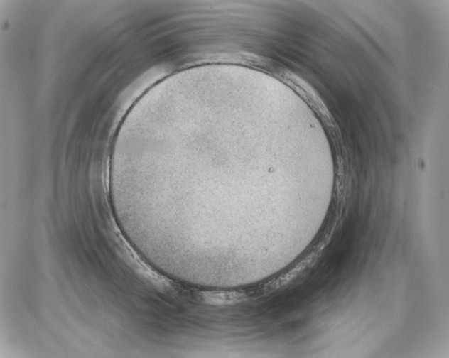 X0000085800804200704131919