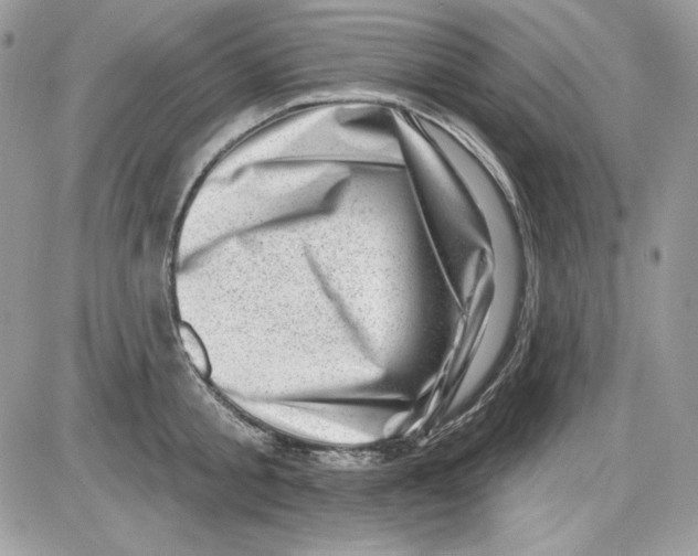 X0000085800805200704131919