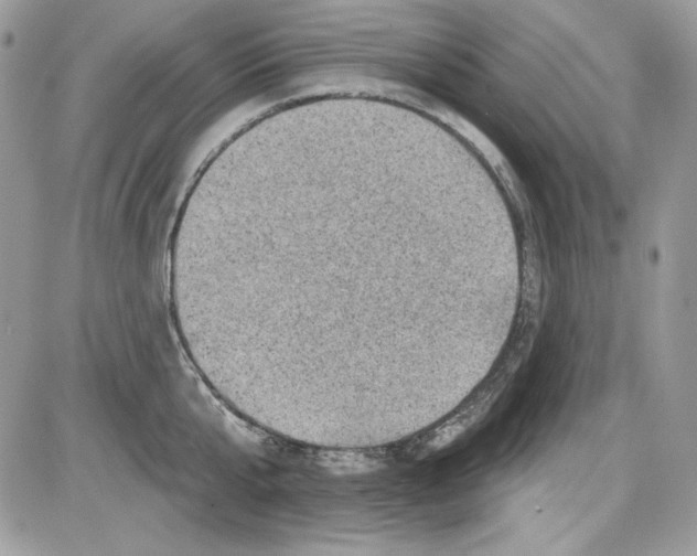 X0000085800807200704131919