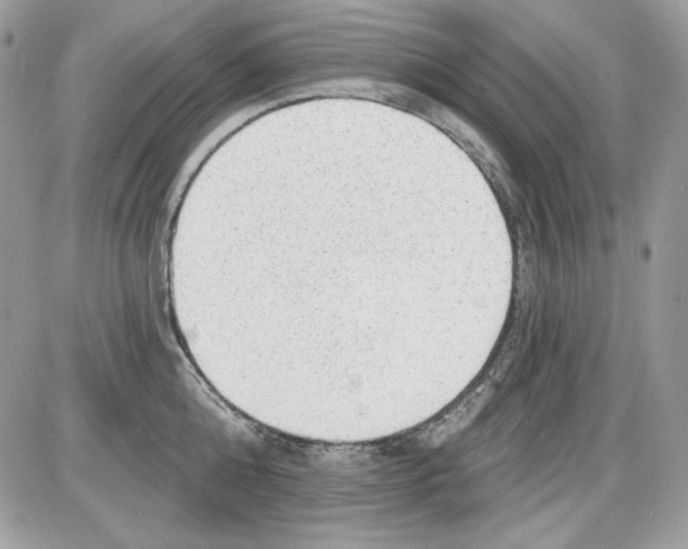 X0000085800808200704131919