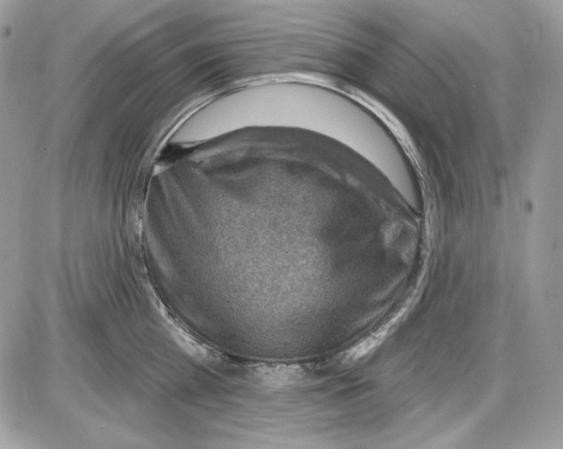 X0000085800809200704131919