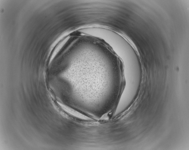 X0000085800813200704131919