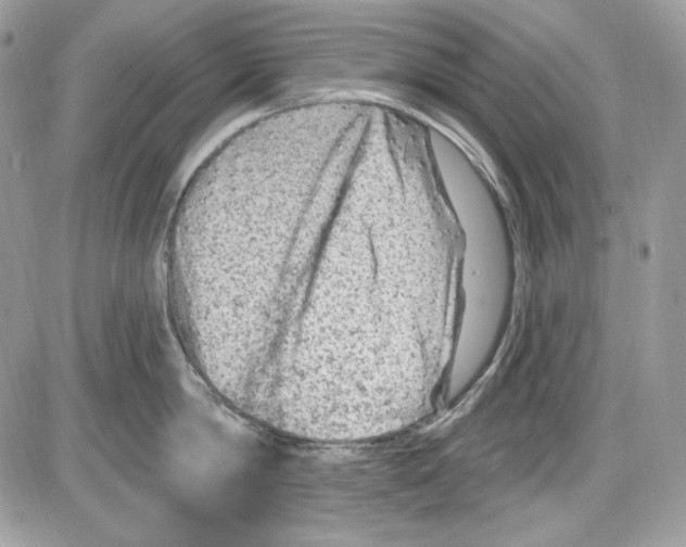 X0000085800814200704131919